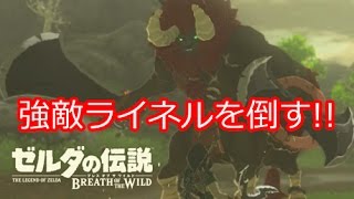 【ライネルを倒す!!】ライネルの倒し方を探す！　wiiuゼルダの伝説ブレスオブザワイルド