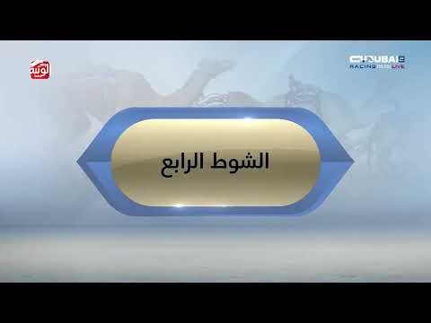 ملخص السباق , مهرجان ولي عهد دبي 2026/01/14 المرموم