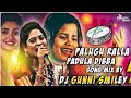 Palugu Ralla Padula Dibba Dj Song 2023 New Year Special Dj Song Remix By Dj Gunni Smiley