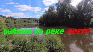Рыбалка на реке осетр в зарайске