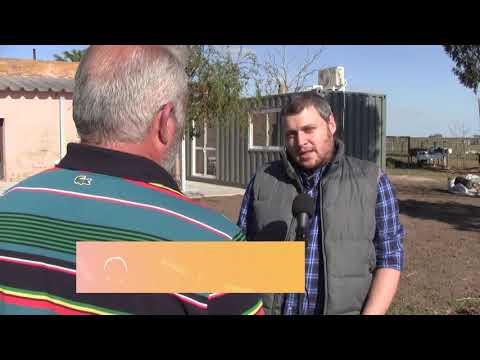 Guillermo Brioschi - Dosi Argentina