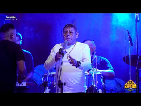 LA PARRANDA AMOR...EL GATO FELIX NAVARRO Y SOMBRA AZUL en 4K - FELIZ CUMPLEAÑOS FELIXITO NAVARRO