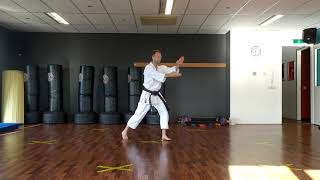 Nipaipo nihon-nukite