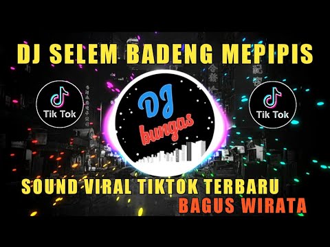 DJ SELEM BADENG MEPIPIS SOUND BAGUS WIRATA YANG VIRAL DI TIKTOK | REMIX TERBARU SELEM BADENG MEPIPIS