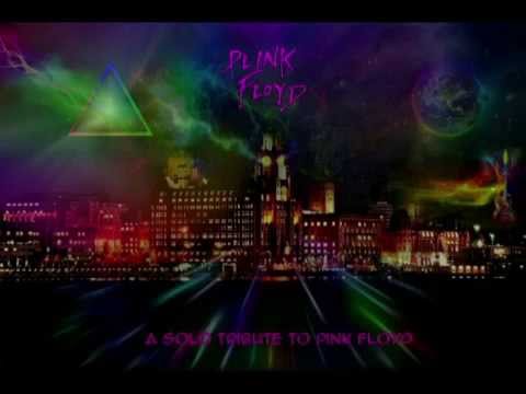 Plink Floyd SoloTribute Demo Promo