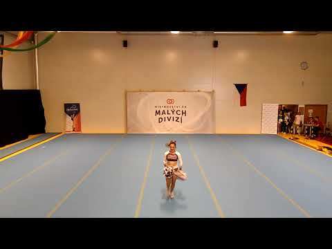 45. A-STYL - Janca Sbrilliova