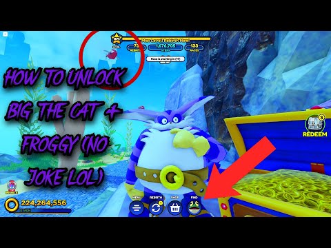 How to UNLOCK BIG THE CAT + FROGGY in Sonic Speed Simulator [Roblox]