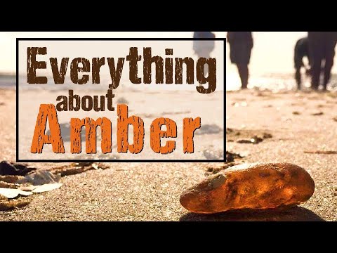 What is Amber and where do you find it?