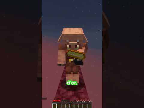 Natop Shorts - Here is a Minecraft survival in 56 seconds!