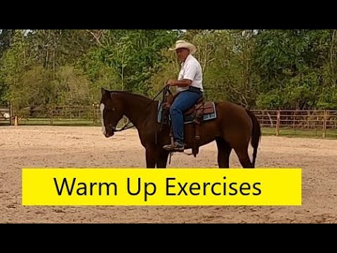 Horse training exercises that  I use to warm up a performance horse.