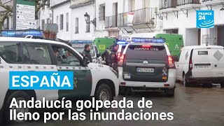 Thumbnail del capítulo