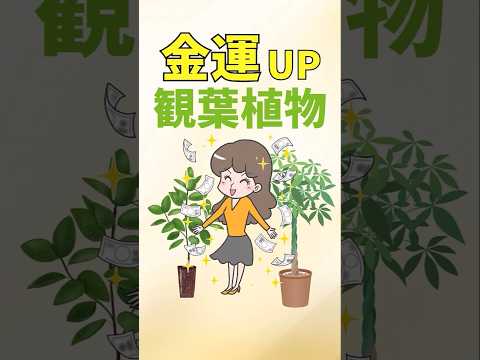 風水庭園 - 5 つの要素ごとにどの植物を植えるか?  庭園