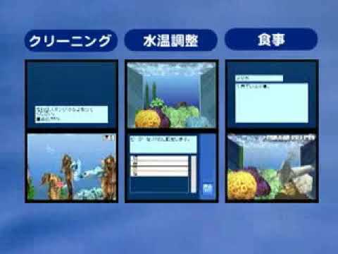 こころがうるおう美麗アクアリウムDS 〜テトラ・グッピー・エンゼルフィッシュ〜
