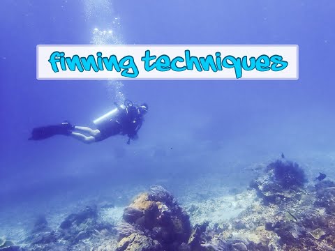 Scuba Skills to Practice: Fin Kicking Technique