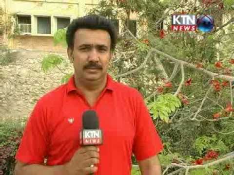 BEAUTY OF SUNBAL TREE AND FLOWERS Part 3 Directed by; Mumtaz Bukhari