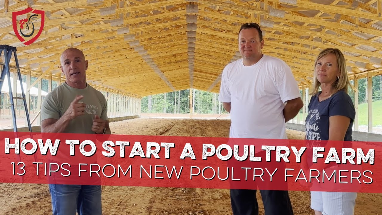 How to Start a Poultry Farm: 13 Tips from New Poultry Farmers