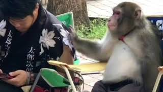 Download lagu Kata baba lucu mp3