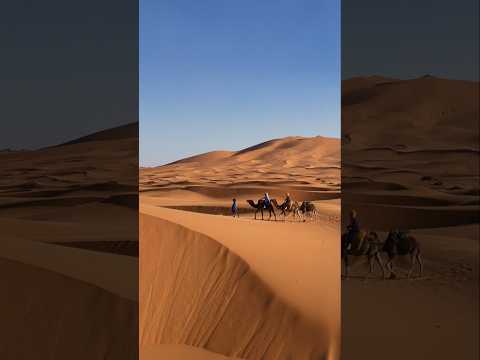 YouTube Shorts preview image