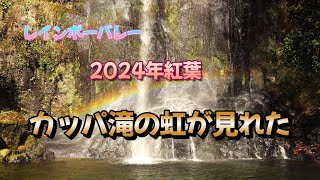 阿蘇レインボーバレー　カッパ滝の虹　　4K60P映像