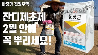 [재업] 잔디 제초제 늦기전에 꼭! 뿌리세요. 2월이 지나면 1년 내내 고생하니 꼭 2월 안에 제초제 뿌려 …