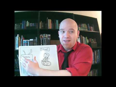 Histotutor Chapter 1: Fixation