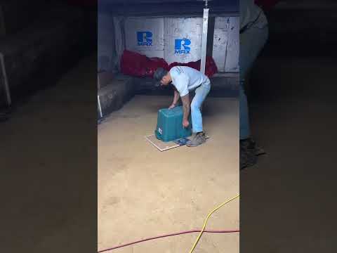 Never too early to start digging out our Holiday Decor!