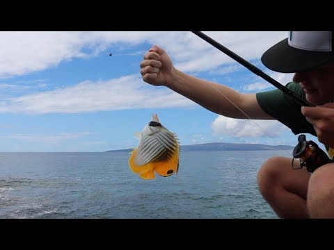 Fishing in Hawaii - Crazy Catches!!