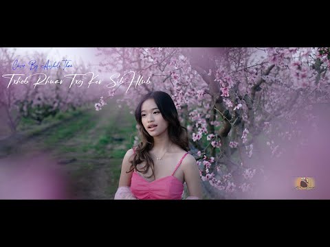 Txhob Rhuav Txoj Kev Sib Hlub | Cover By Aisheli Thao | Music Video