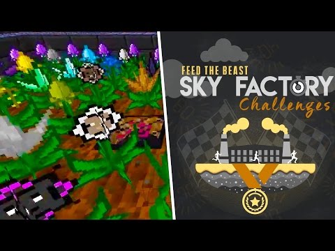 HOW 2 SPEEDRUN #1: FTB Sky Factory Challenges!