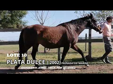 Lote PLATA DULCE (BRZ)