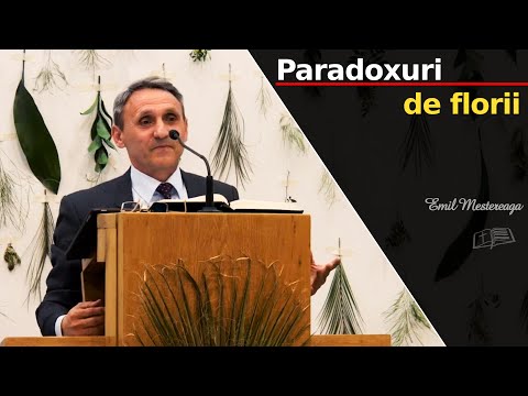 Emil Meștereagă || Paradoxuri de florii