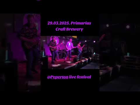 Martin's Surfers live @Peperton_music live festival 29.03.2025. @Primarius Craft Brewery. 🏄🏄🌊🌊