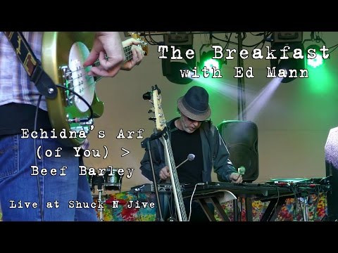 The Breakfast w/Ed Mann: Echidna's Arf (of You) → Beef Barley [4K] 2015-10-10 - Shuck N Jive