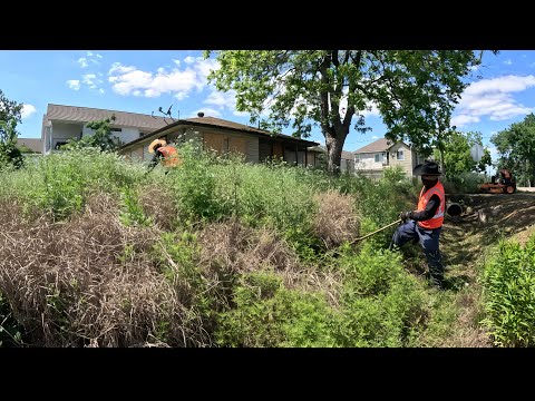 NEIGHBORS couldn’t BELIEVE we CUT this INSANE CITY VIOLATION for FREE