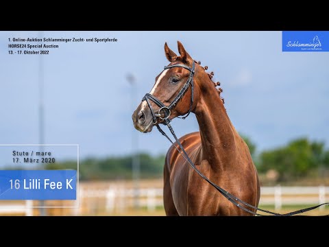 Schlamminger-Auktion Lot 16 Lille Fee K Stute v. Livaldon - Weltmeyer