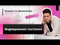 Экзамен по физиологии ЭНДОКРИННАЯ СИСТЕМА