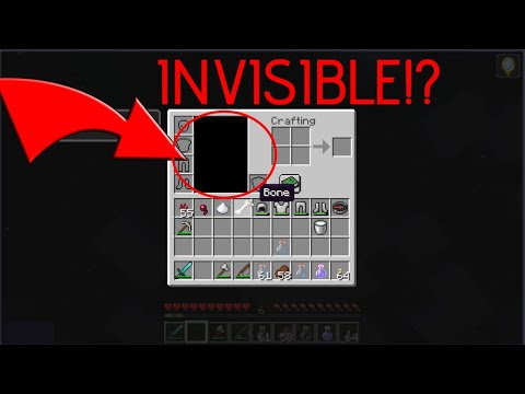 Ultimate Minecraft 1.15 Invisibility Potion Recipe!