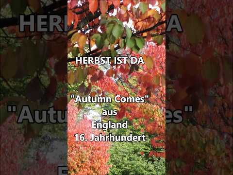 Herbst ist da - „Autumn Comes“