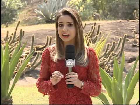 TN  1ª Edição  07/11/2015