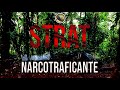 Strat NarcoTraficante Official Audio Release