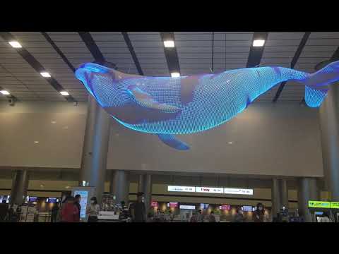 2020.06.08 - 2020.07.08