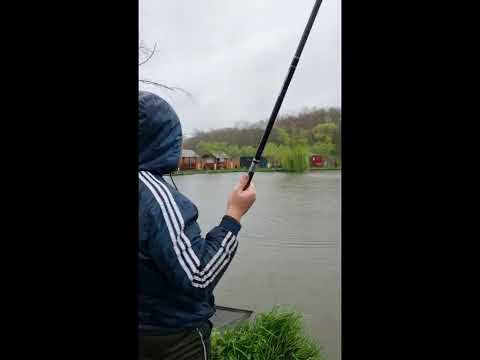 Pescuit la crap pe Balta Delta Neajlovului Branistari, Giurgiu