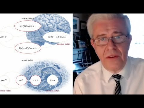 The Free Energy Principle with Karl Friston | Living Mirrors #57 clips