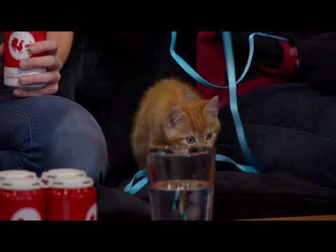 RT Podcast #521: Only Mush