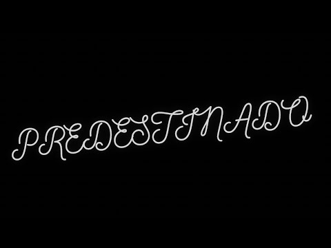 Predestinado - MC Ryanzin Mb feat MC Efiteh, HuangPlug, Eo Big Mc & Andrew Jhones