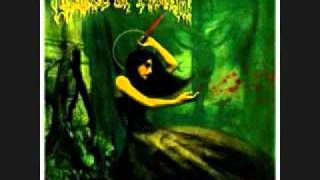 cradle  of  filth libertina grimm