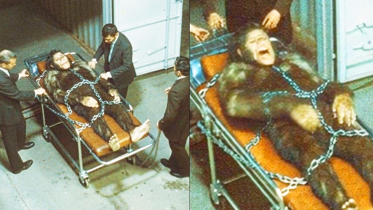 Hình thu nhỏ YouTube