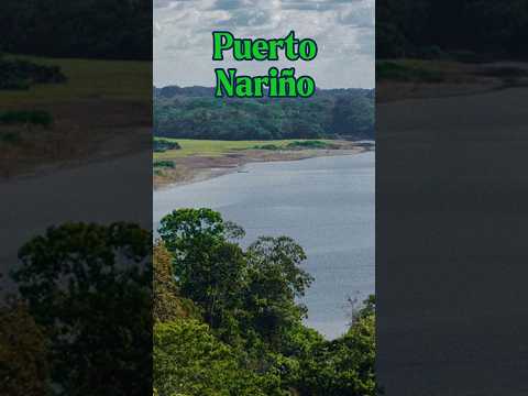 Puerto Nariño: un pueblo sin carros. #colombiadondenacelamagia