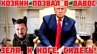 URGENT! ZELENSKY WAGS HIS TAIL IN DAVOS. WITCOFF IN MOSCOW. TRUMP WILL TAKE EVERYTHING QUIETLY #news