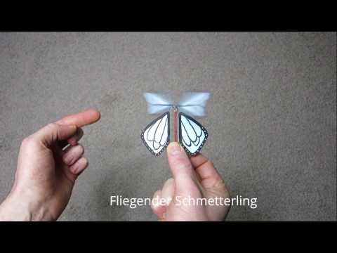 Fliegenden Schmetterling basteln